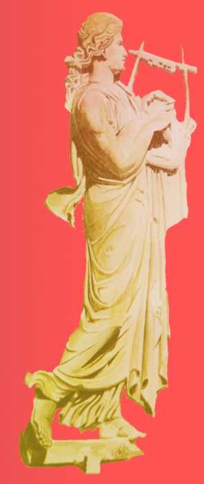 arm